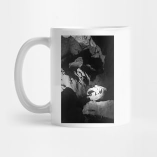 Bear Skull in the Caves of Vallorbe, Switzerland Mug